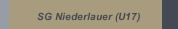 SG Niederlauer (U17)